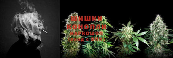ГАЛЛЮЦИНОГЕННЫЕ ГРИБЫ Нягань