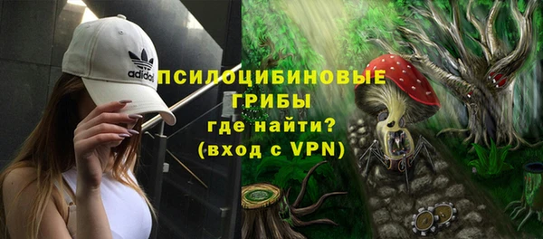 ГАЛЛЮЦИНОГЕННЫЕ ГРИБЫ Нягань